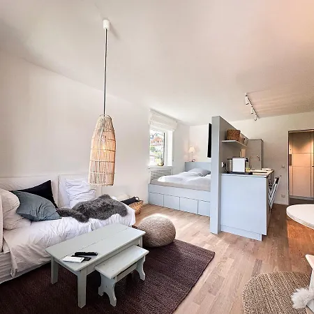 Eisvogel * Oberstaufen